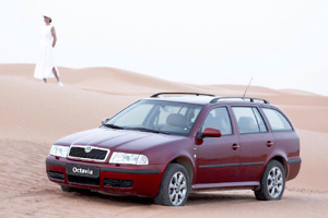 Skoda ohne Schufa